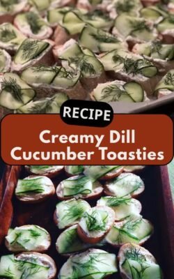 Creamy Dill Cucumber Toasties