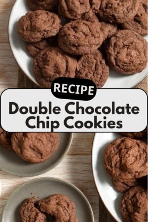 Double Chocolate Chip Cookies