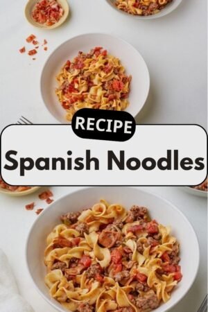 Spanish Noodles